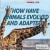 How Animals Evolved and Adapted - Jennifer Swanson
