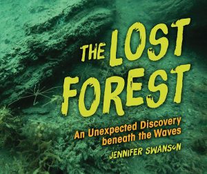 the lost forest:  An Unexpected Discovery beneath the Waves book cover