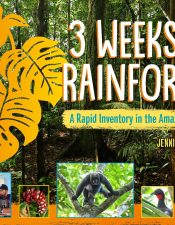 book cover: 3 weeks in a rainforest. A taking inventory in the amazon