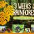book cover: 3 weeks in a rainforest. A taking inventory in the amazon